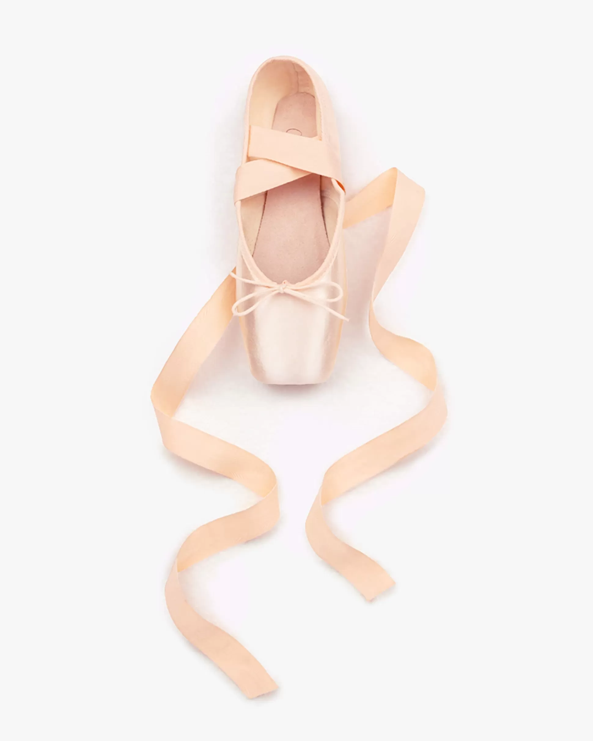 Repetto Pointes & Soft Ballets Shoes | Pointes & Soft Ballets Shoes>Alicia pointe shoes - Large box Hard sole