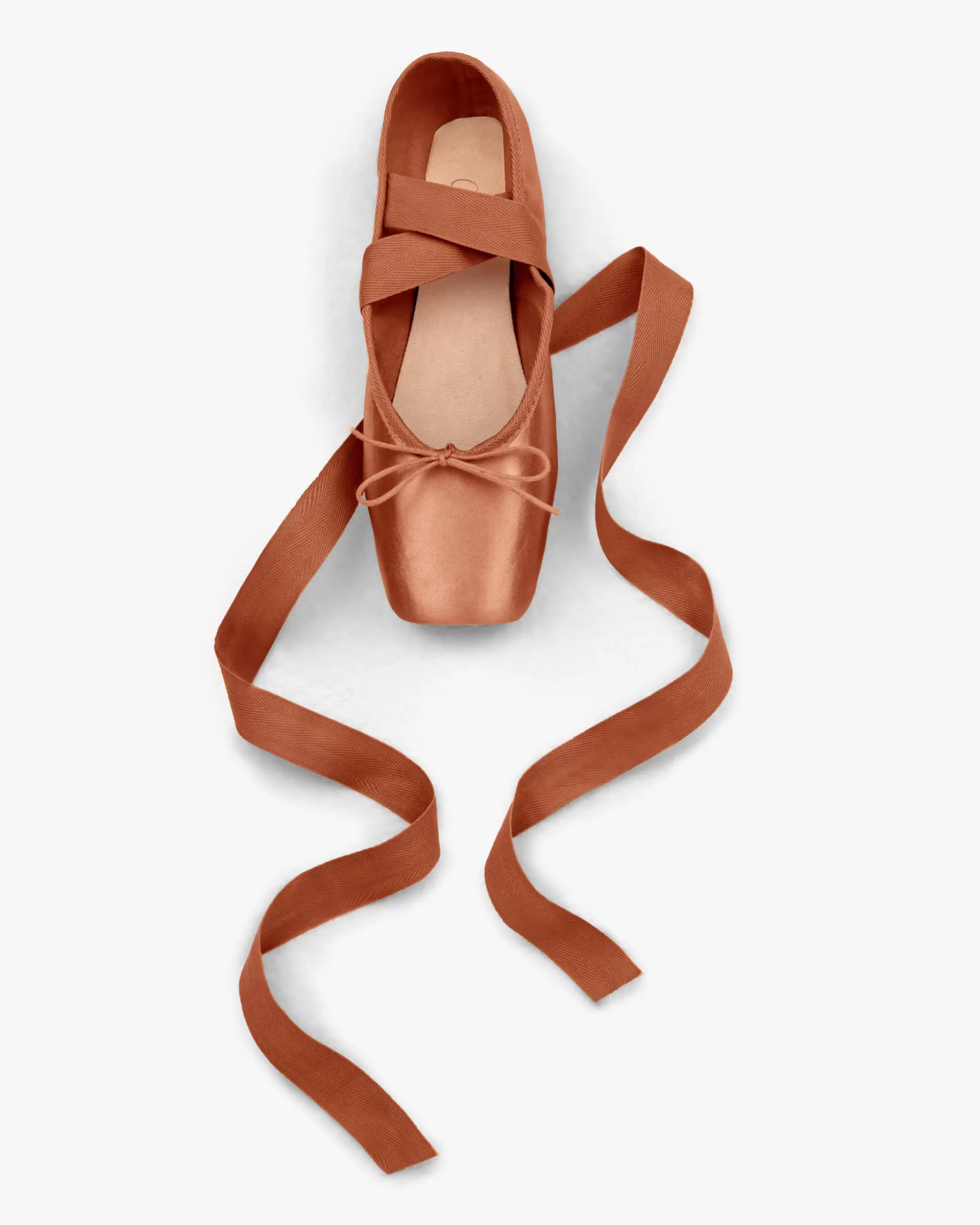 Repetto Pointes & Soft Ballets Shoes | Pointes & Soft Ballets Shoes>Alicia pointe shoes - Medium box Medium sole Icebrown