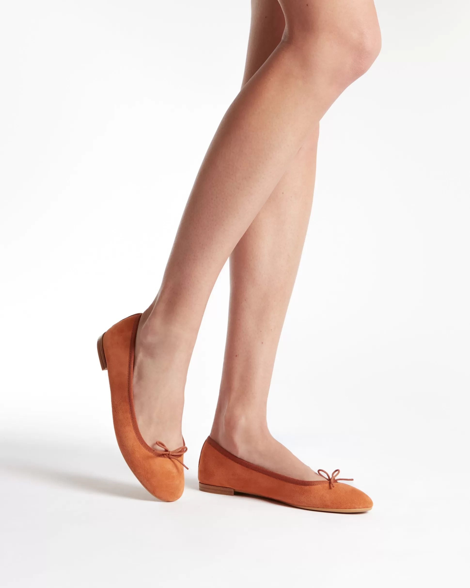 Repetto Ballet Flats>Ballet Flats Rubber Sole Cendrillon Goat Velvet Cinnamon