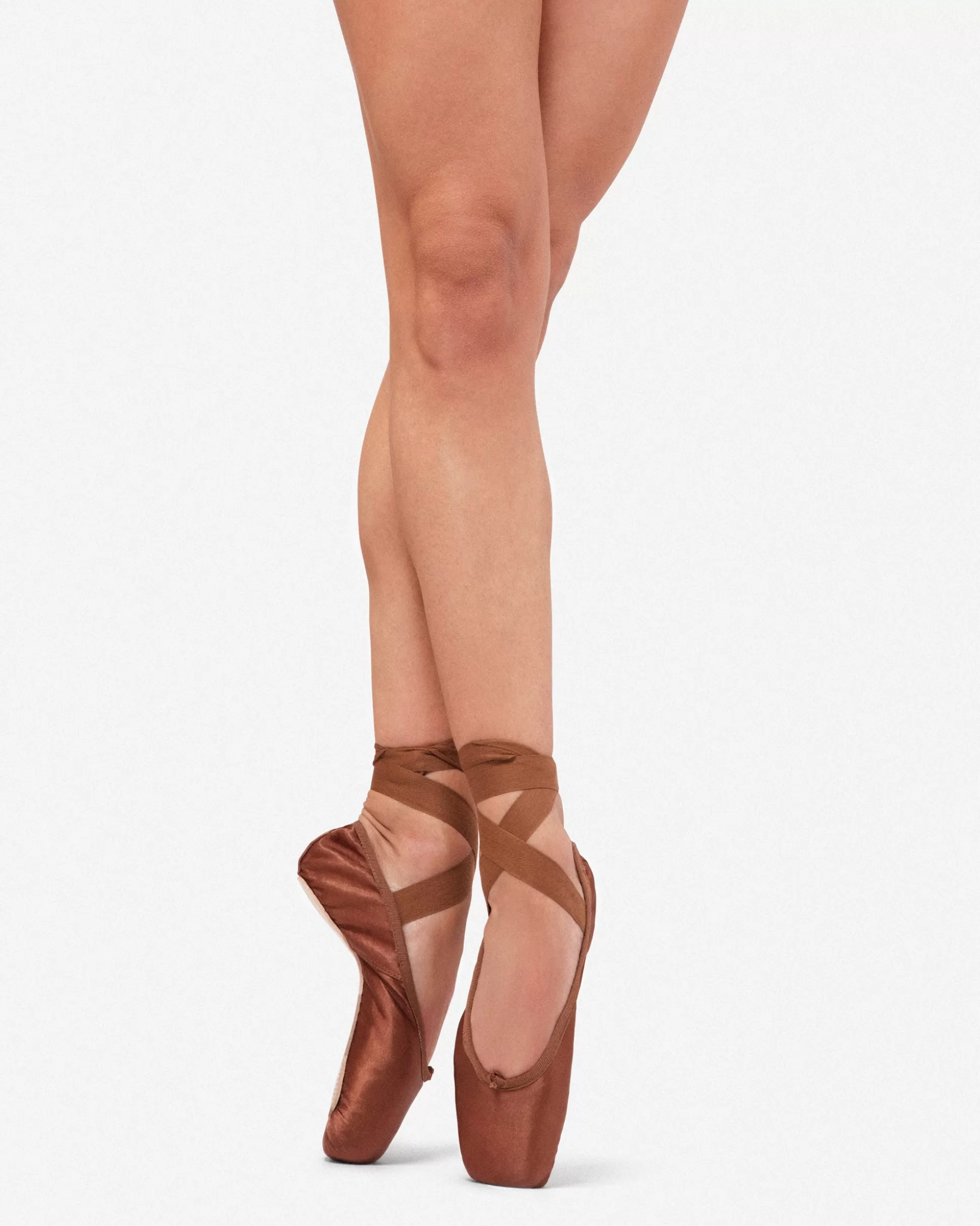 Repetto Pointes & Soft Ballets Shoes | Pointes & Soft Ballets Shoes>Carlotta Pointe shoes - Medium box Medium sole Icebrown