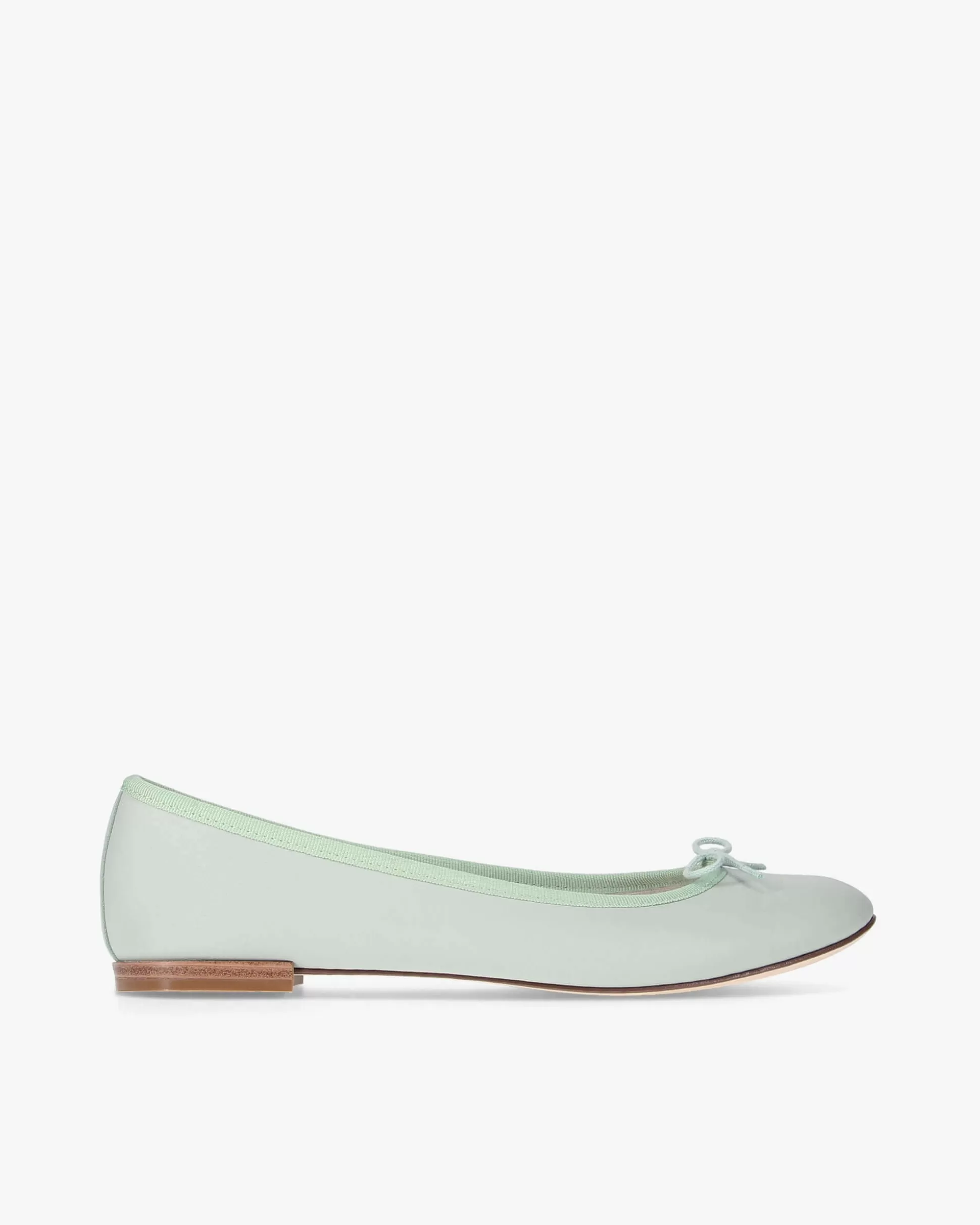 Repetto Ballet Flats>Cendrillon ballet flats Aquagreen