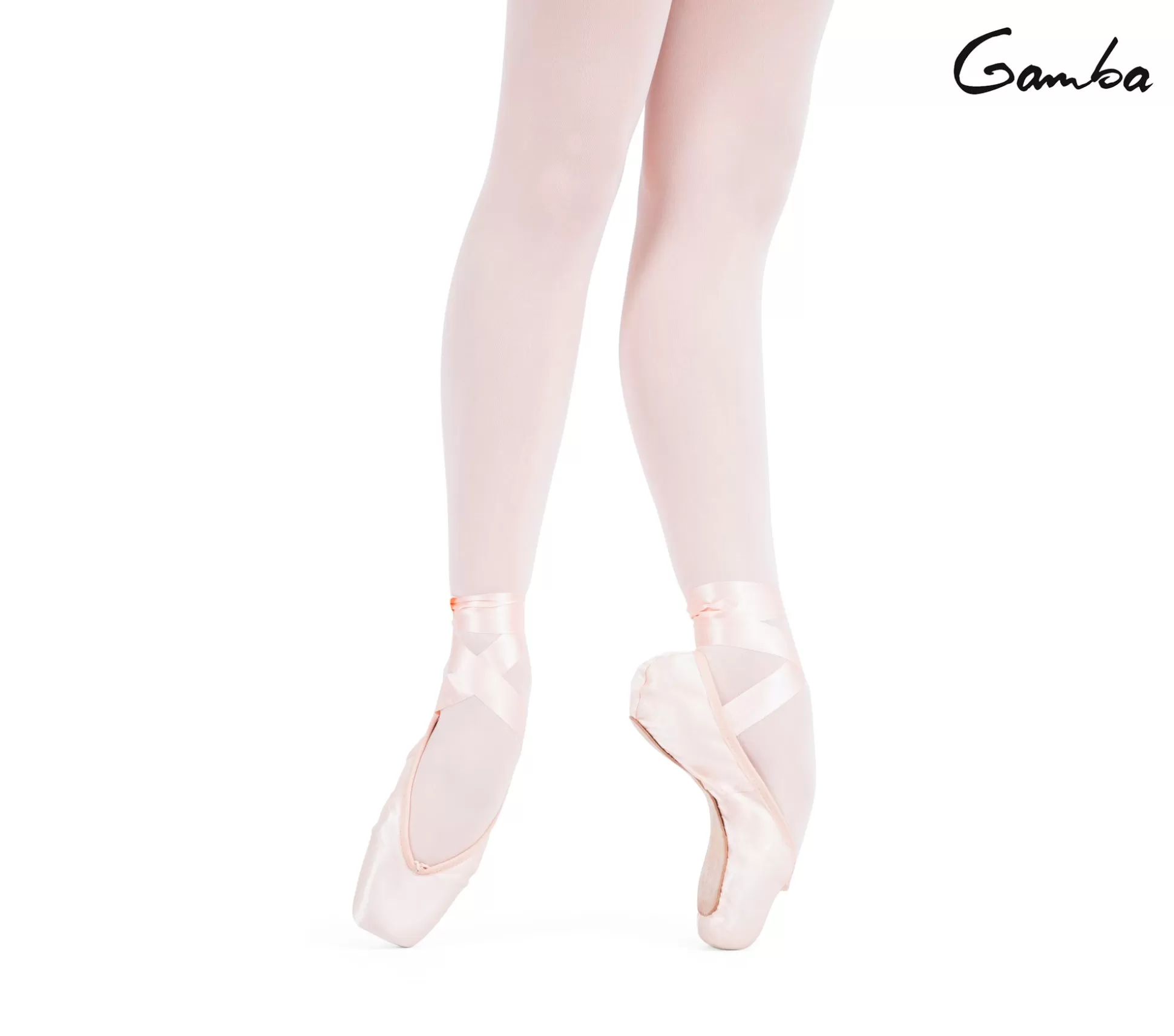 Repetto Pointes & Soft Ballets Shoes | Pointes & Soft Ballets Shoes>Gamba G93 pointe shoes - Extra large box Medium sole