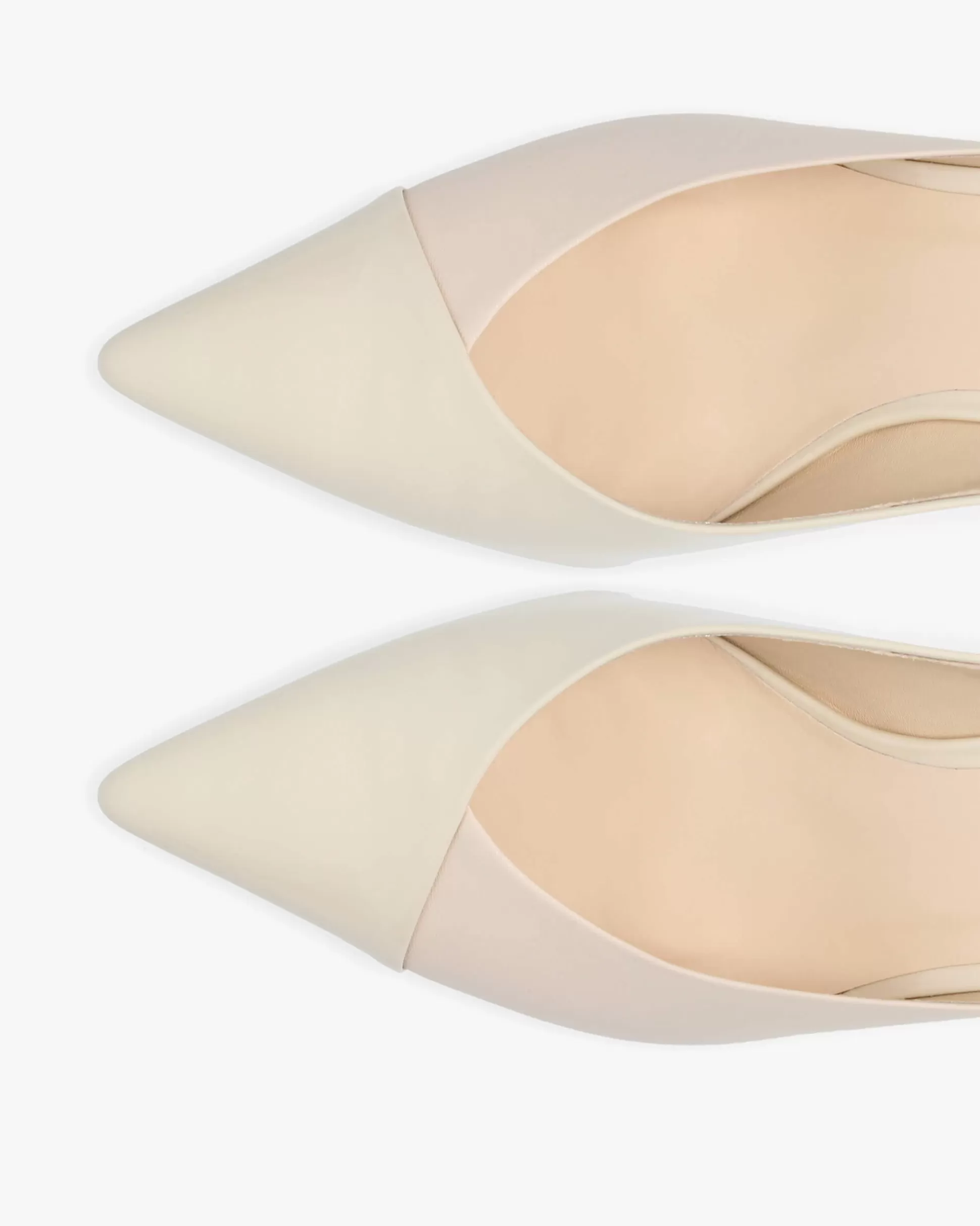 Repetto Pumps & Heels>Laurine pumps Swanbeige