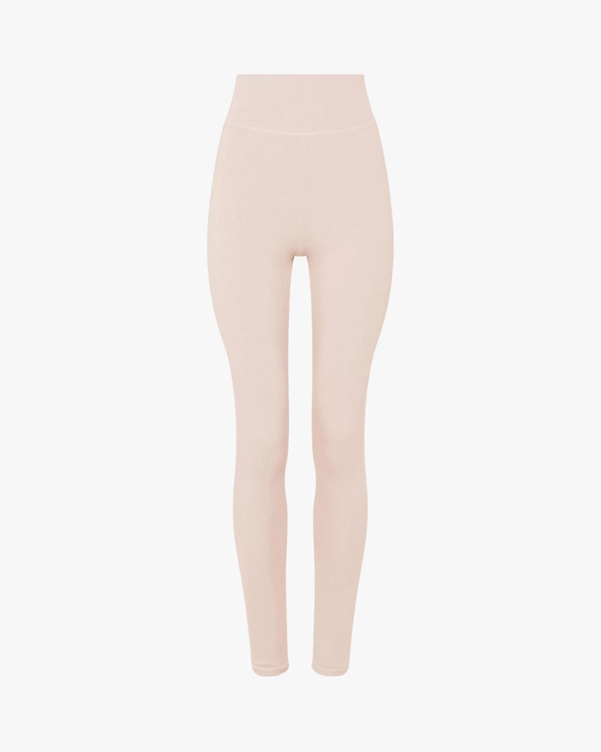 Repetto Leggings>Ribbed leggings Petalpink